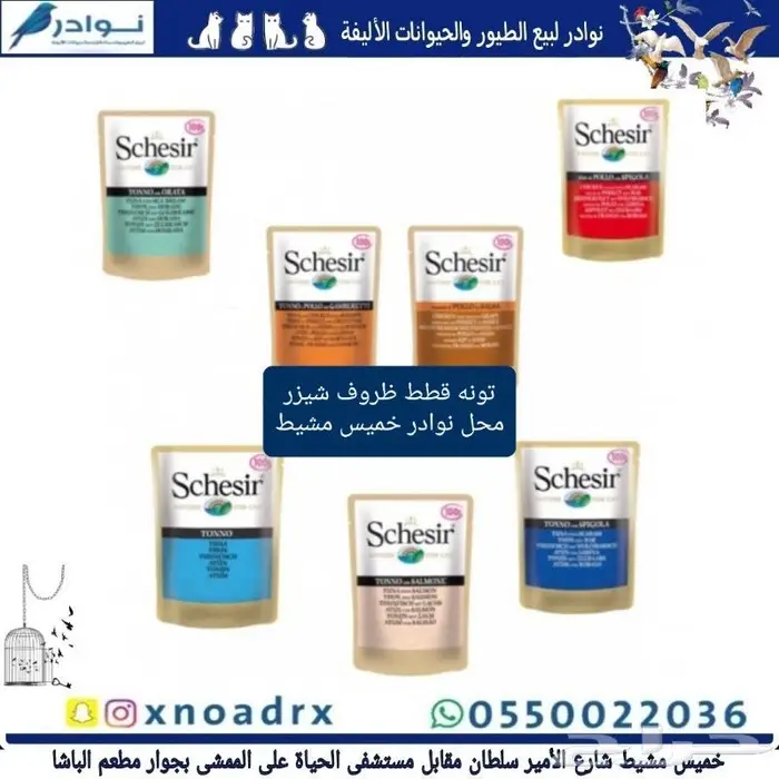 اكل قطط هريرة ورمل محل نوادر 83