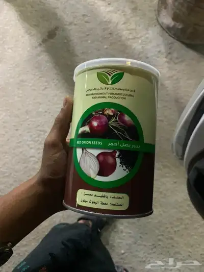 بصل يمني وراد بافطيم معقم 0