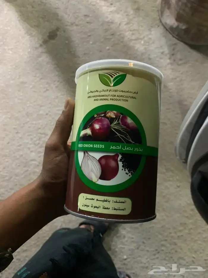 بصل يمني وراد بافطيم معقم 0