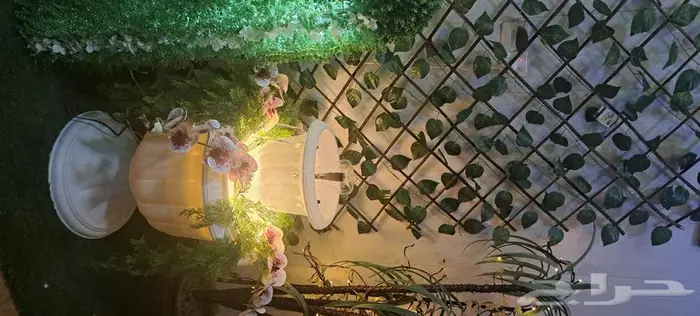 نافورة الكأس 1