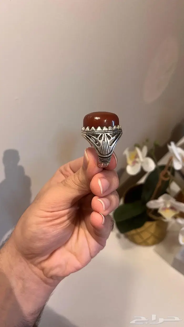 عقيق كبدي راهي 3
