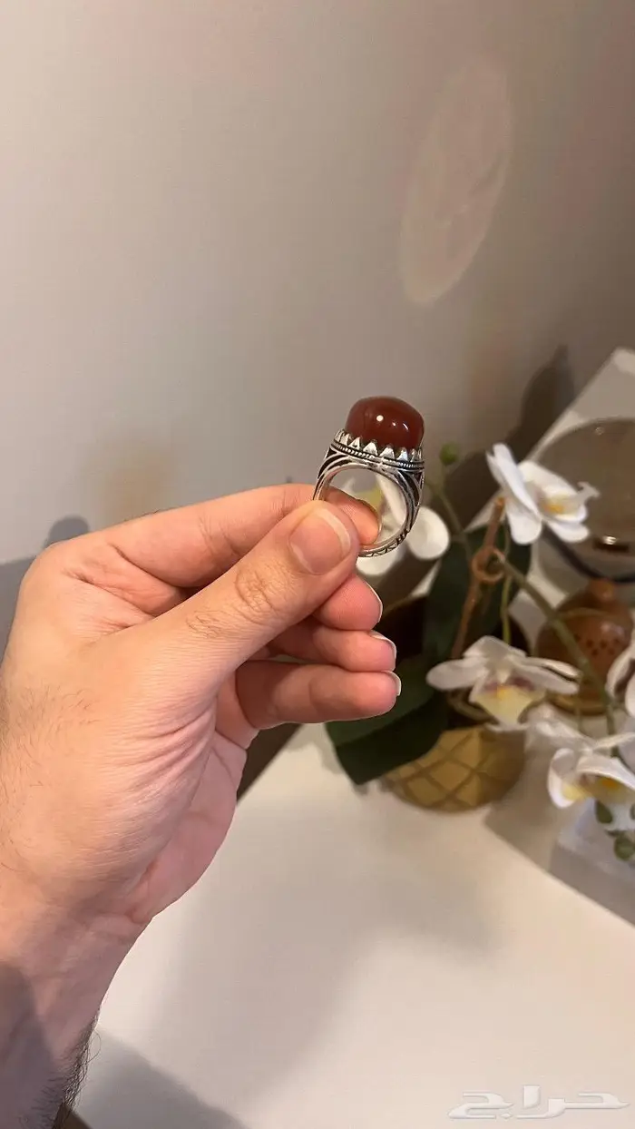 عقيق كبدي راهي 4