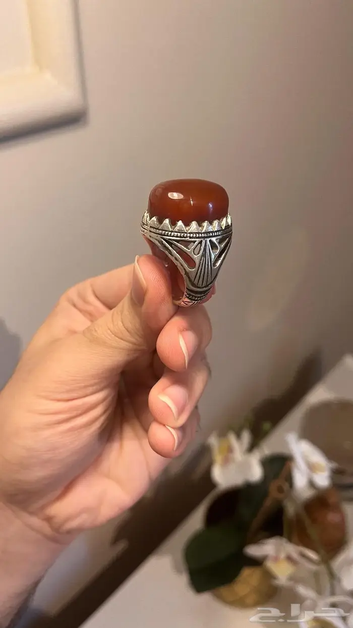 عقيق كبدي راهي 0