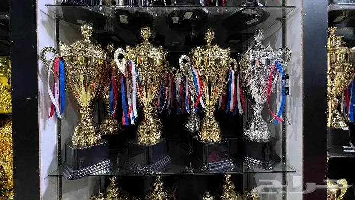 جوائز كرة قدم 8