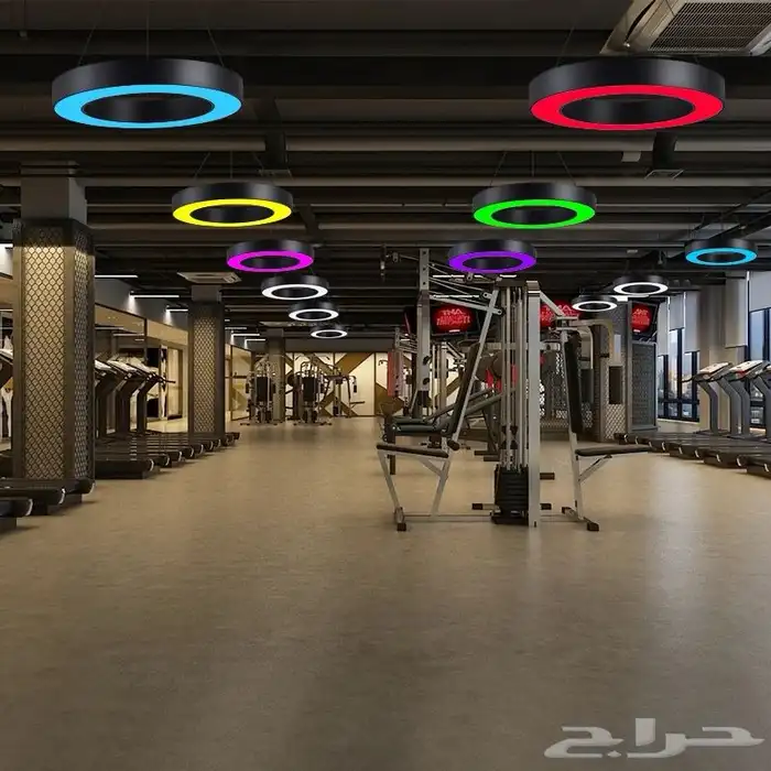 LED LIGHT 33