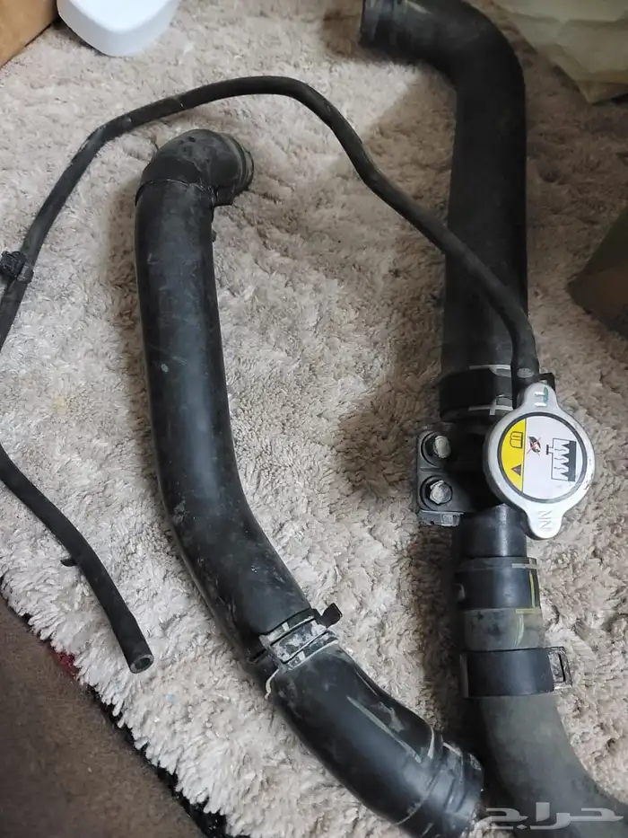 شانجان ايدو بلس 2021 20