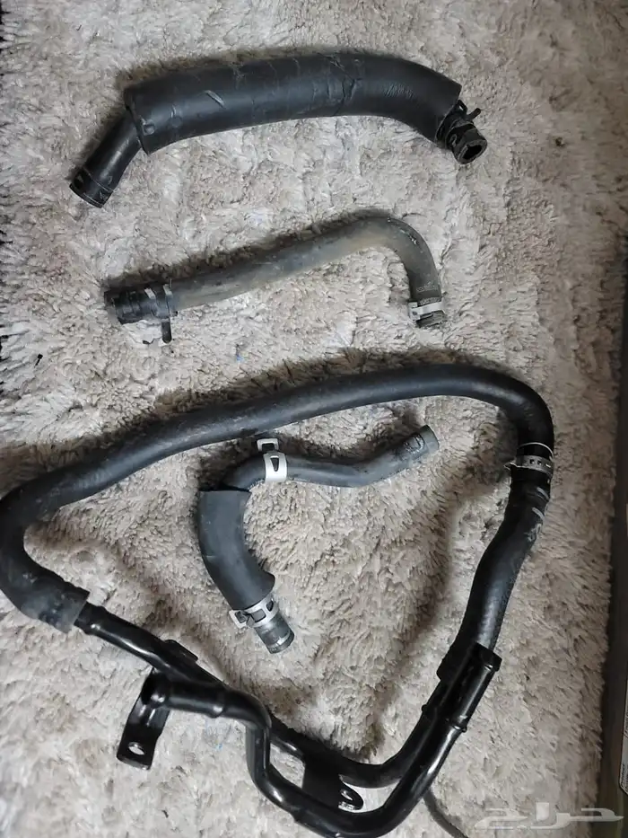 شانجان ايدو بلس 2021 23