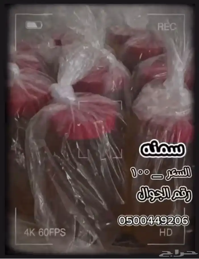 سمن غنم جوده ممتازه شغل منزلي 4