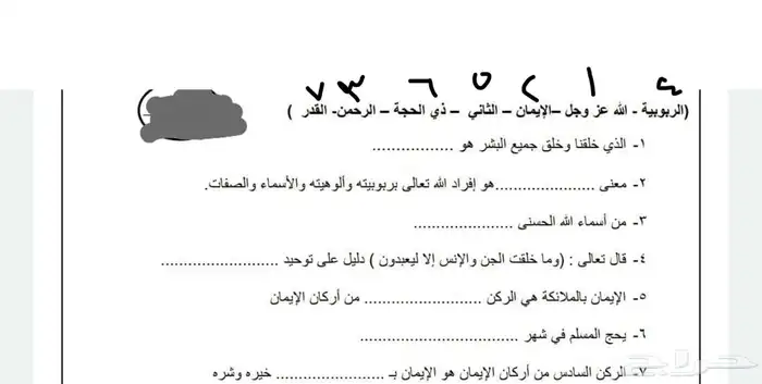 كنبات 46