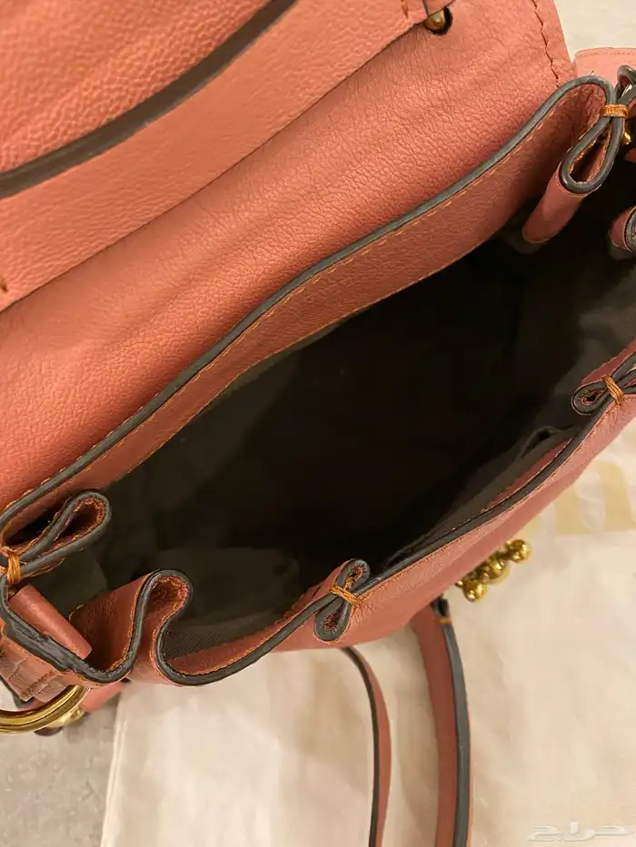 Chloe Pink Bag - شنطة كلوي 4