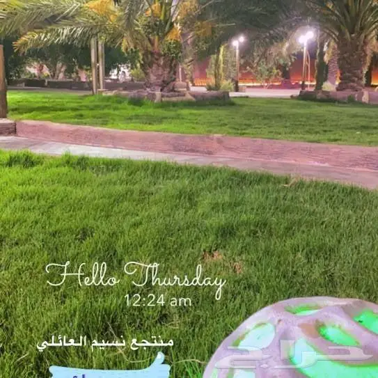 منتجع نسيم بالقاعد للايجار اليومي 3