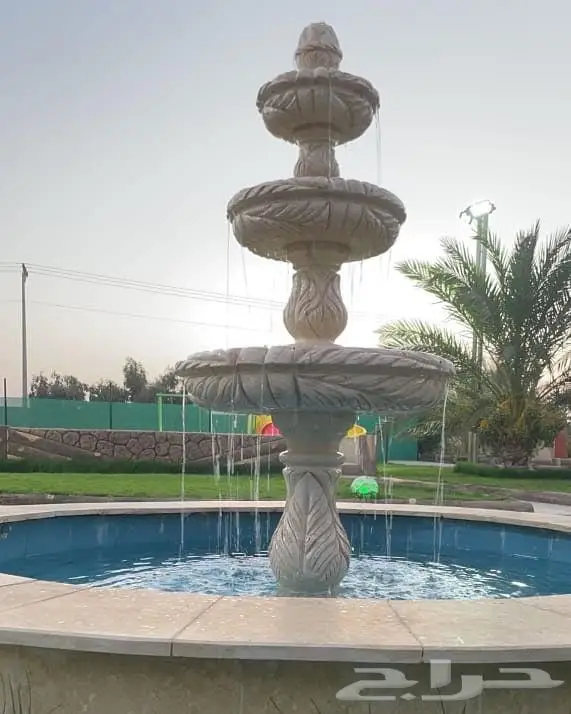 منتجع نسيم بالقاعد للايجار اليومي 0