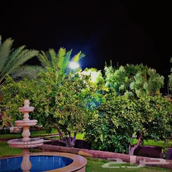 منتجع نسيم بالقاعد للايجار اليومي 1