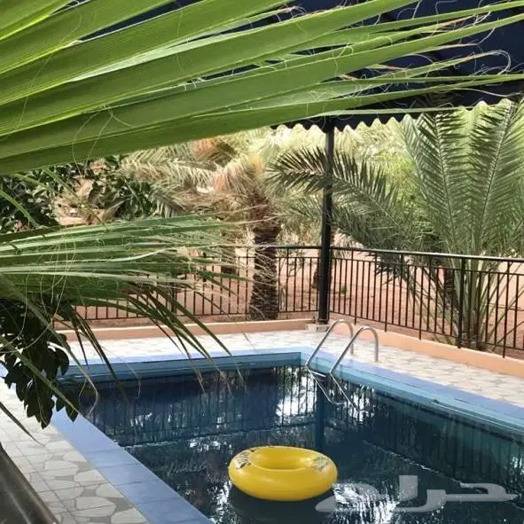 منتجع نسيم بالقاعد للايجار اليومي 7