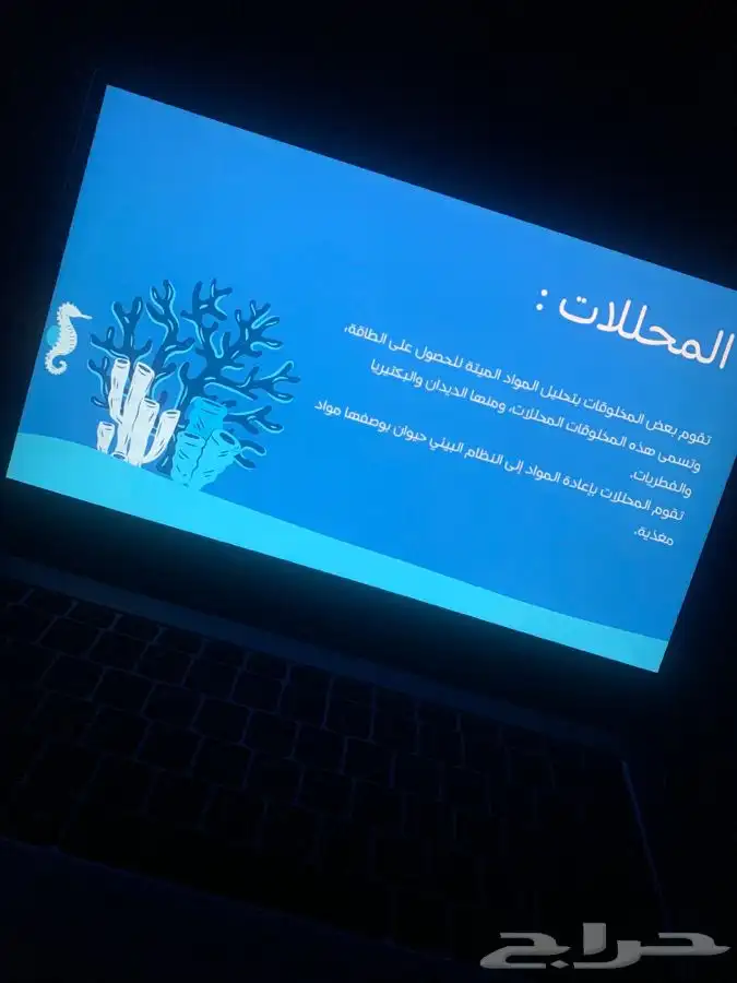 بوربوينت تقرير بحث جامعي بحوث جامعيه بحث تخرج بحث ماجستير 31