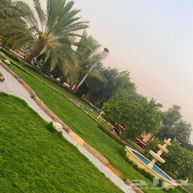 منتجع نسيم بالقاعد للايجار اليومي 5