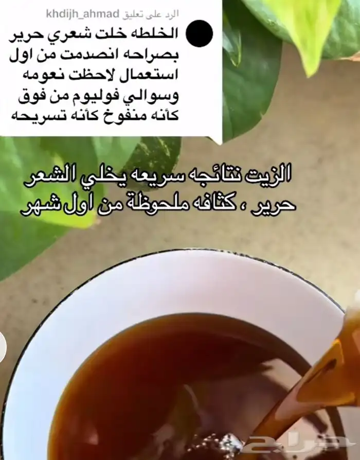 زيت قطران مغربي 0