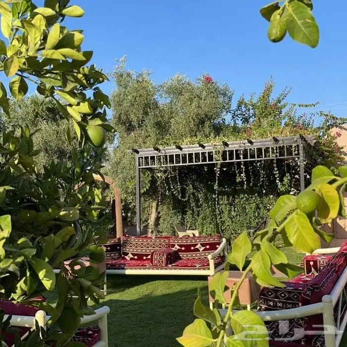 منتجع نسيم بالقاعد للايجار اليومي 13