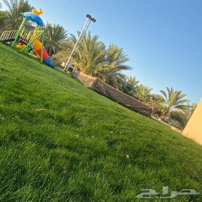 منتجع نسيم بالقاعد للايجار اليومي 10