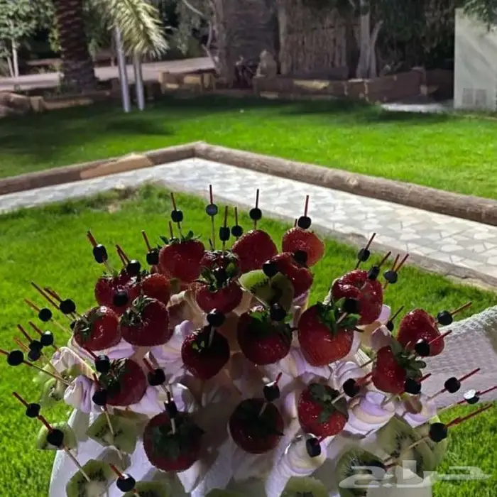 منتجع نسيم بالقاعد للايجار اليومي 6