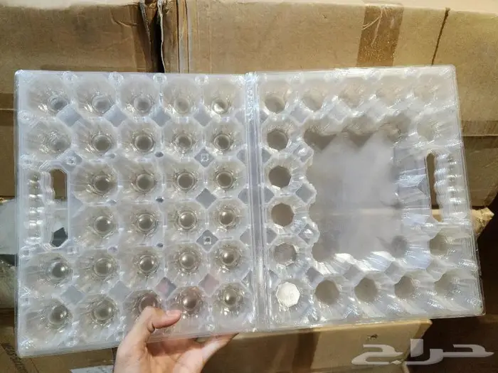 للبيع اطباق بيض بلاستيك 1