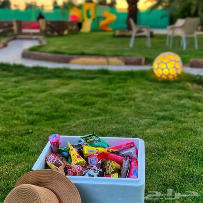 منتجع نسيم بالقاعد للايجار اليومي 9