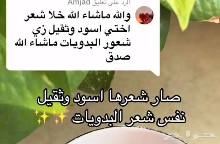 زيت قطران مغربي 4