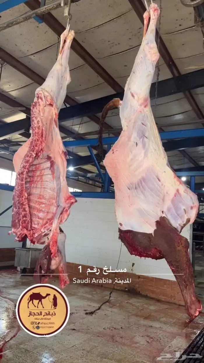 ذبائح مع خدمة الذبح و التوصيل والتغليف 18