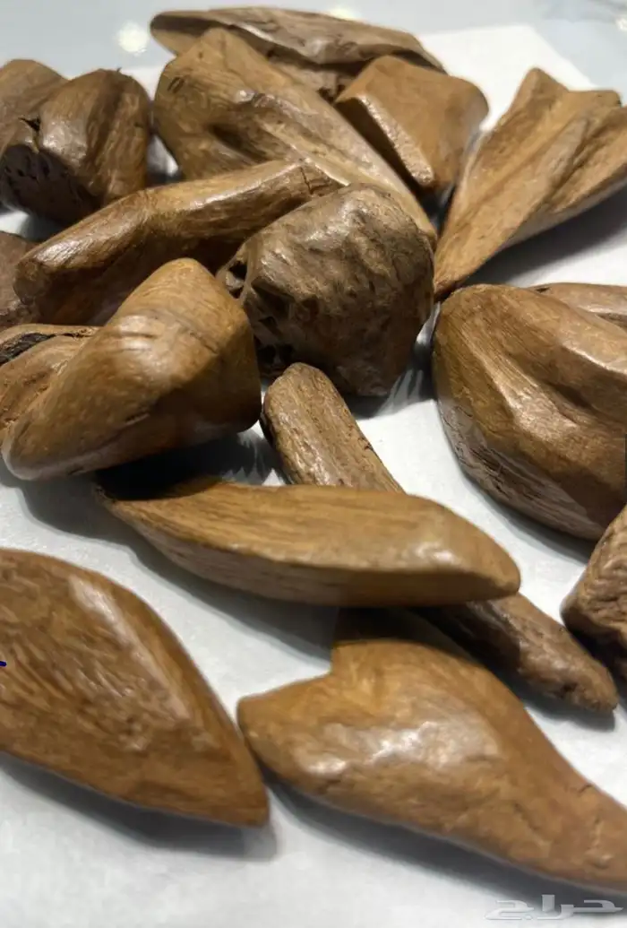 عود طبيعي موروكي وسومطري 0