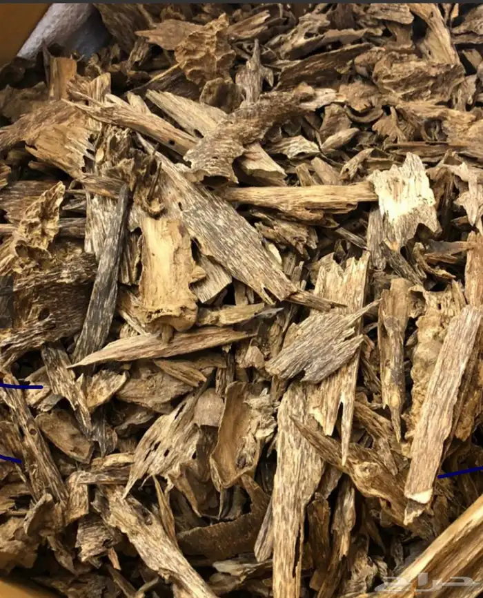 عود طبيعي موروكي وسومطري 1