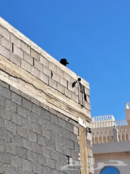 كاميرات انتركم شبكات سماعات جهاز بصمه فايبر 13