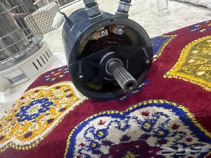 سلف تايون جديد 24 1