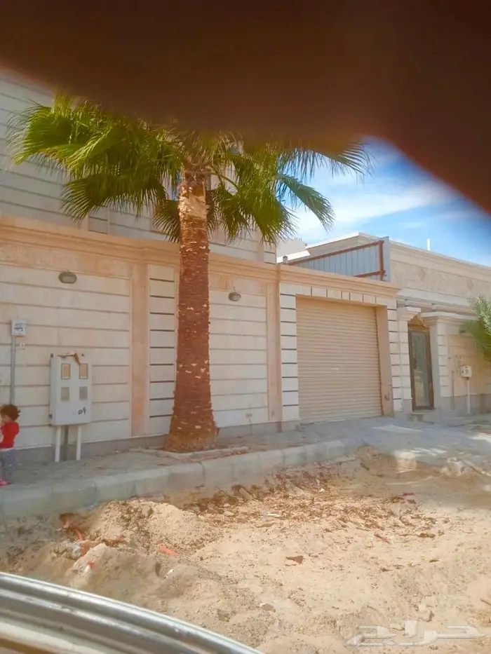 وصلتنا تشكيلة جديدة من النباتات الداخلية والخارجية 28