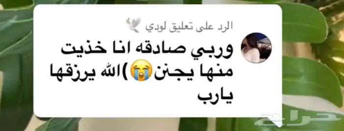 زيت قطران 3
