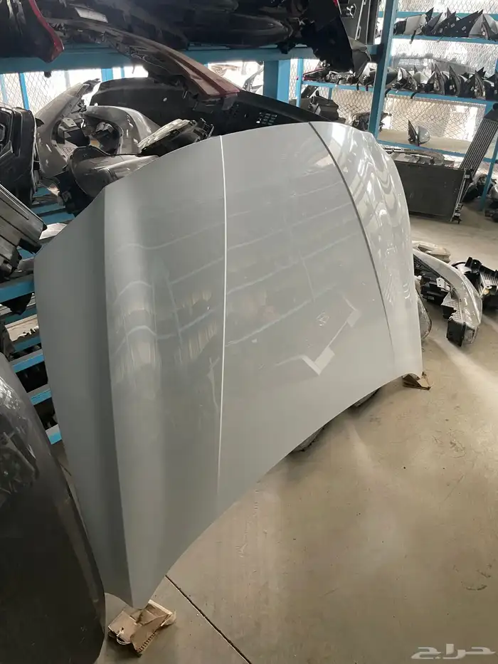 كبوت لنترا ابيض وكاله موديل 2021_2022_2023 0