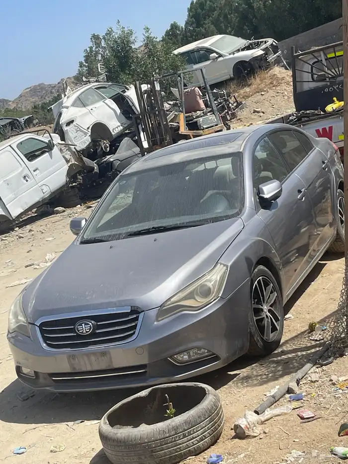 اورفان نيسان فاو بيسترون FEW 1