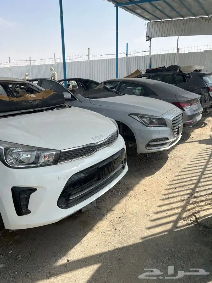 مندوب تشليح الحاير 0