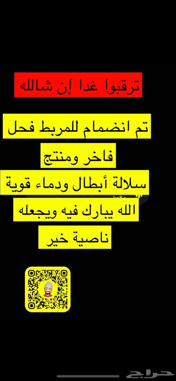 مربط البرجس للخيل العربية الأصيلة 0