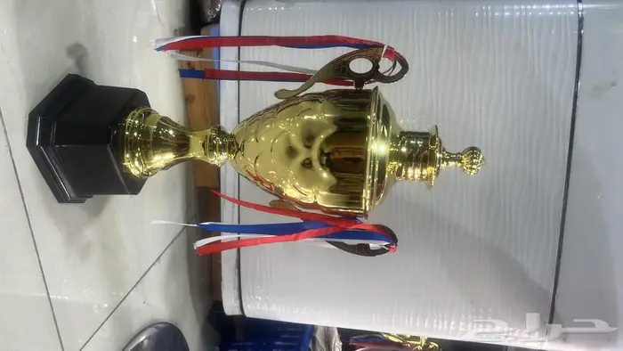 جوائز كرة قدم 17