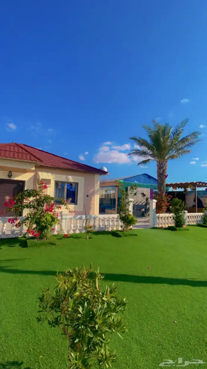 شالية شرح وكبير وفخم 10