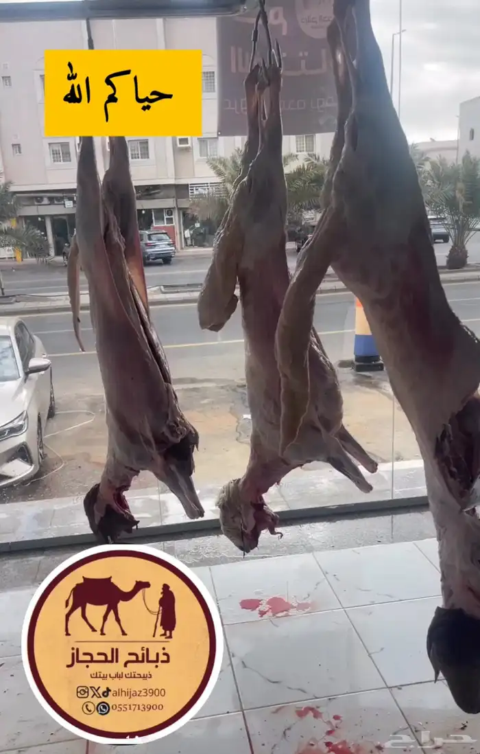 ذبائح مع خدمة الذبح و التوصيل والتغليف 38