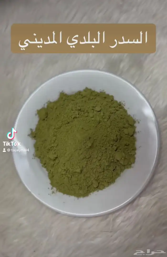 سدر المدينه البلدي 3
