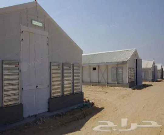 مقاول عنابر الدواجن حضائر دواجن مزارع دواجن 2