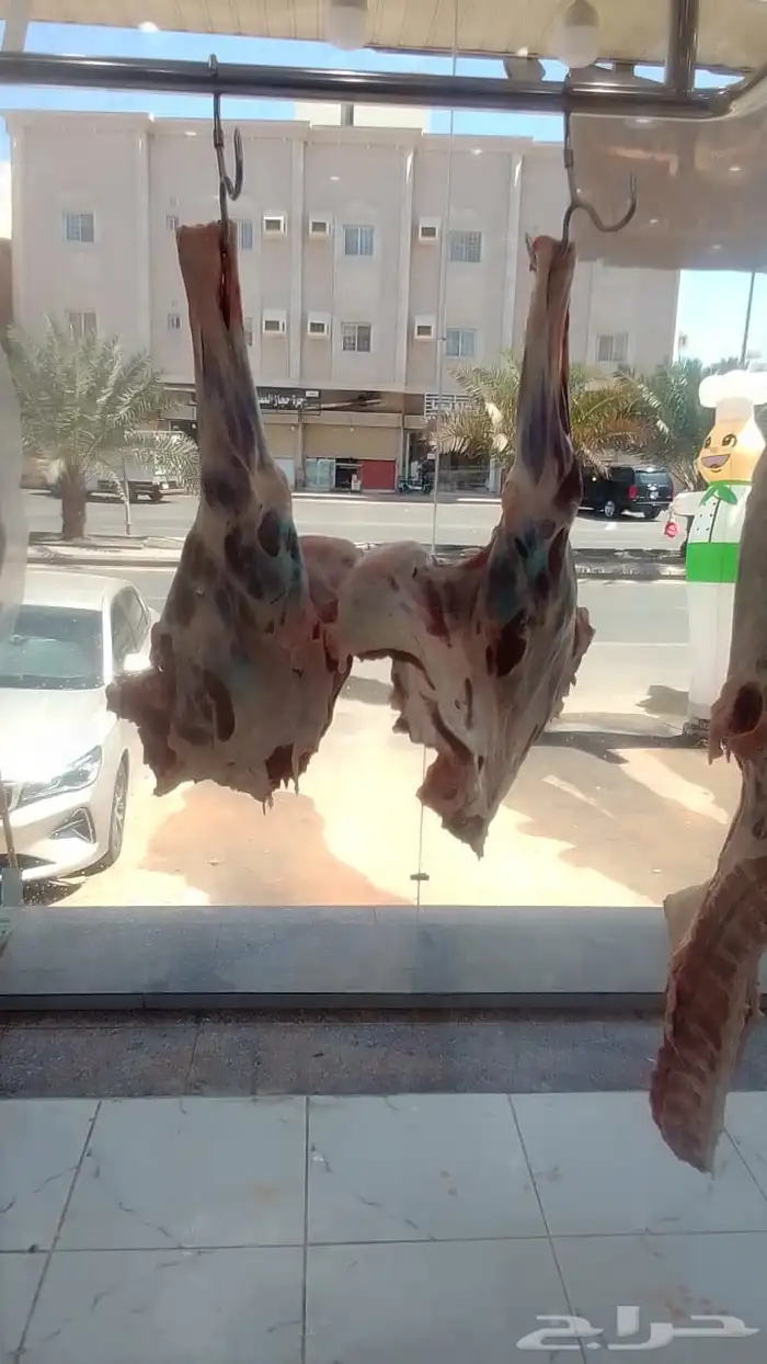 ذبائح مع خدمة الذبح و التوصيل والتغليف 25