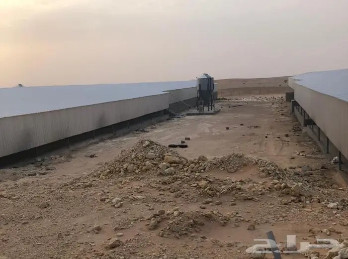 مقاول عنابر الدواجن حضائر دواجن مزارع دواجن 5