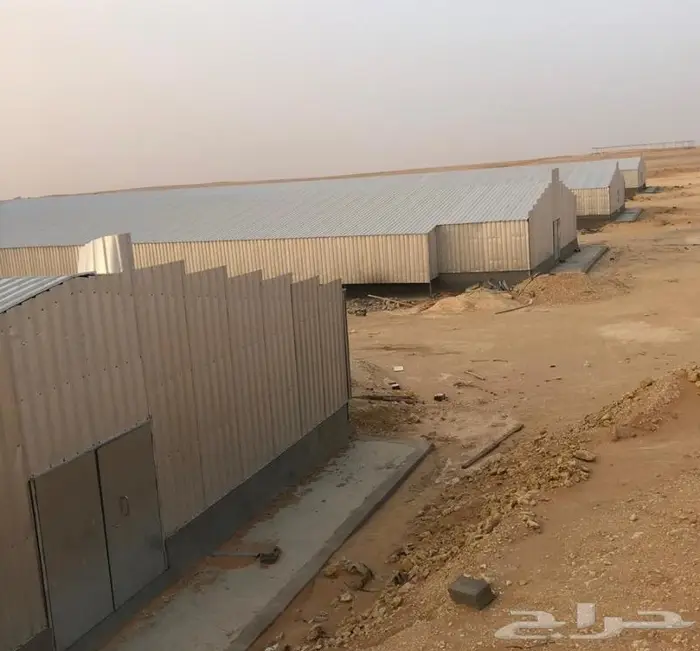 مقاول عنابر الدواجن حضائر دواجن مزارع دواجن 7