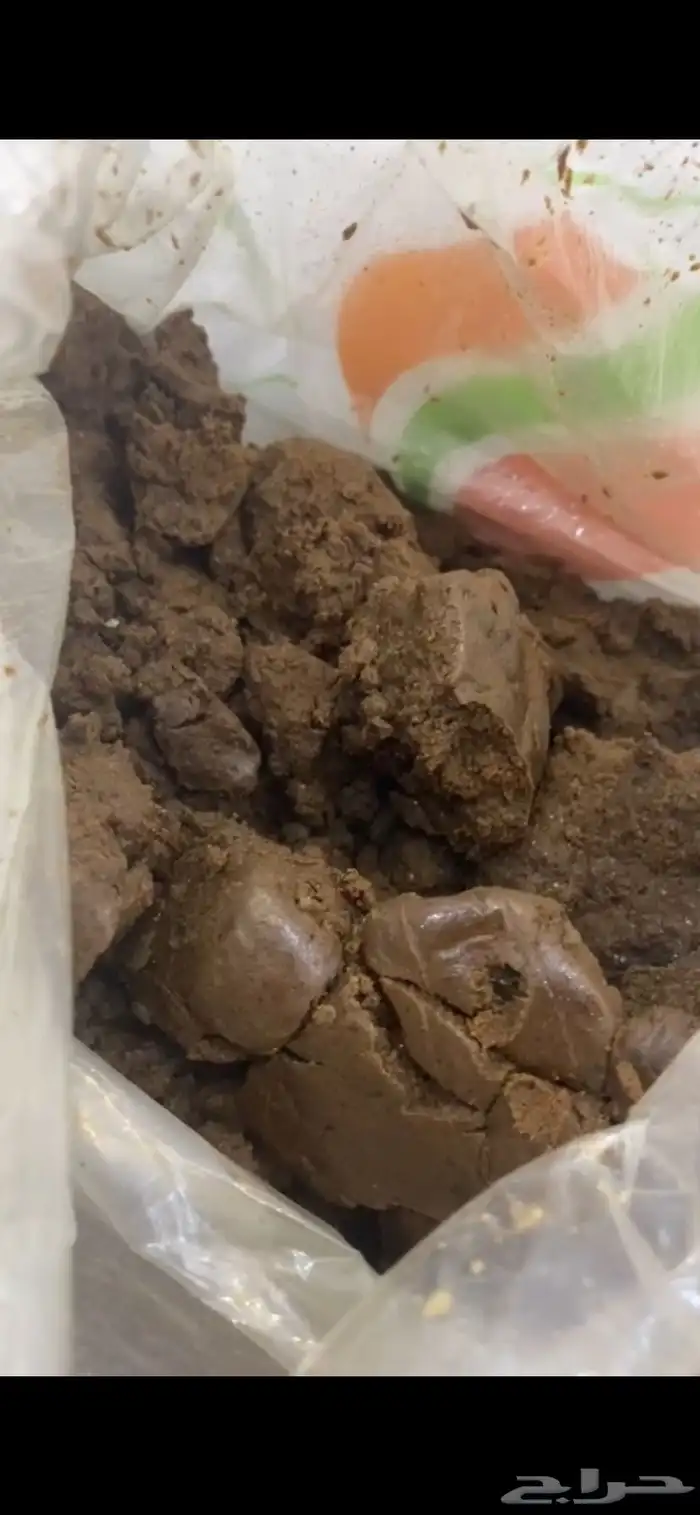 دلكه سودانيه 2
