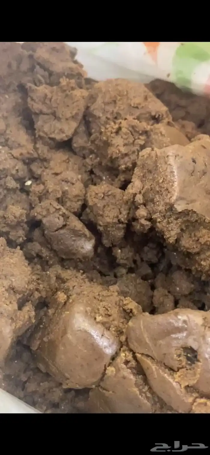 دلكه سودانيه 1