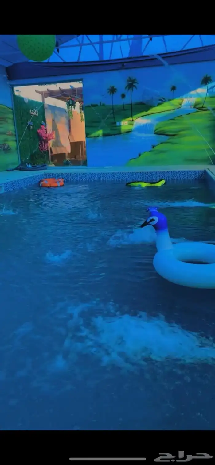 شالية شرح وكبير وفخم 2