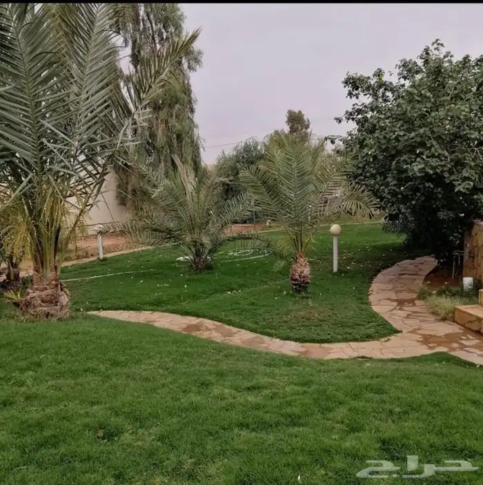 مزرعه واستراحه عبق البيلسان 3